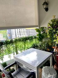 Sky Green (D13), Condominium #501880401